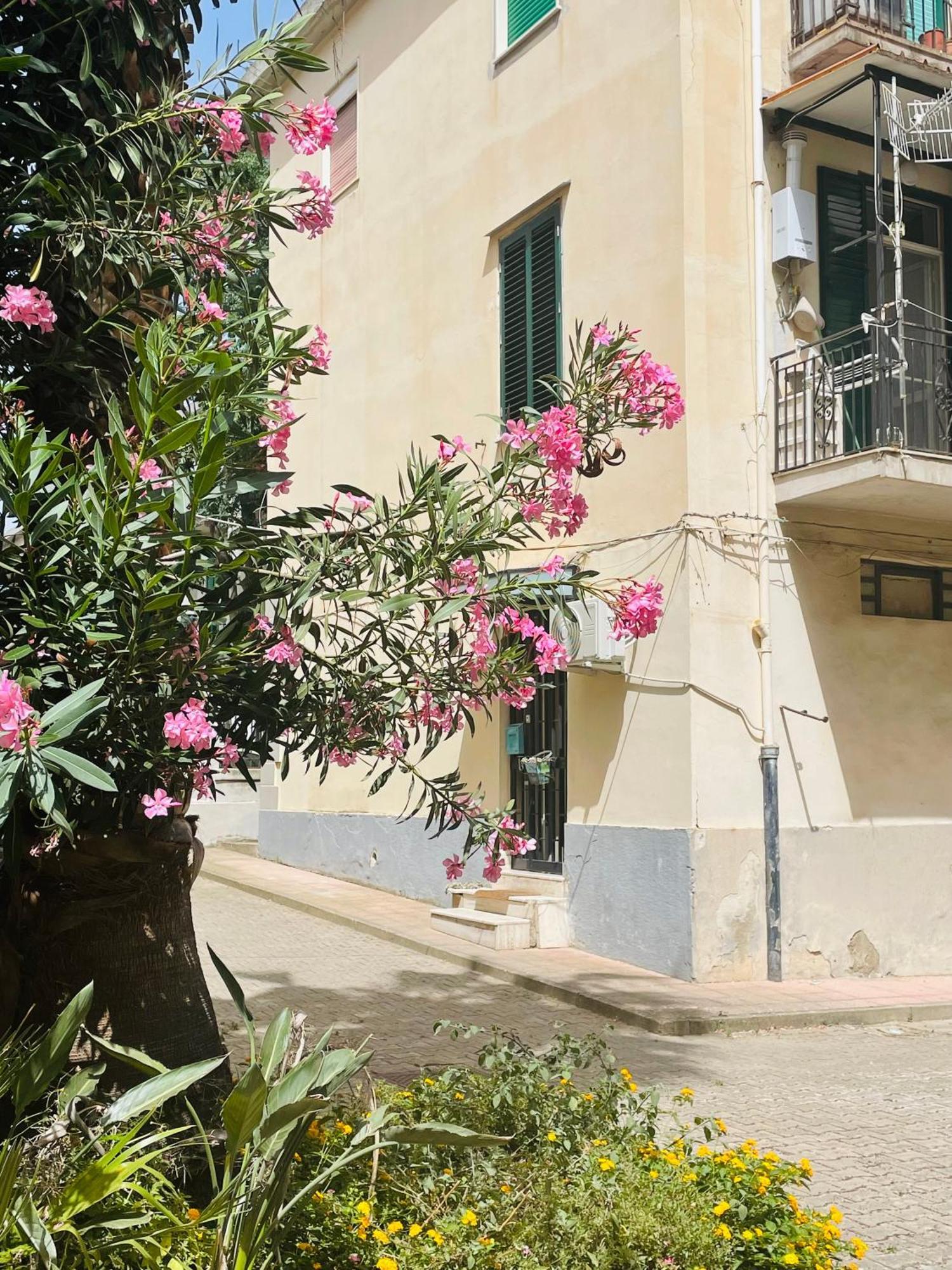 Your Temporary Home - City Center Messina Eksteriør billede